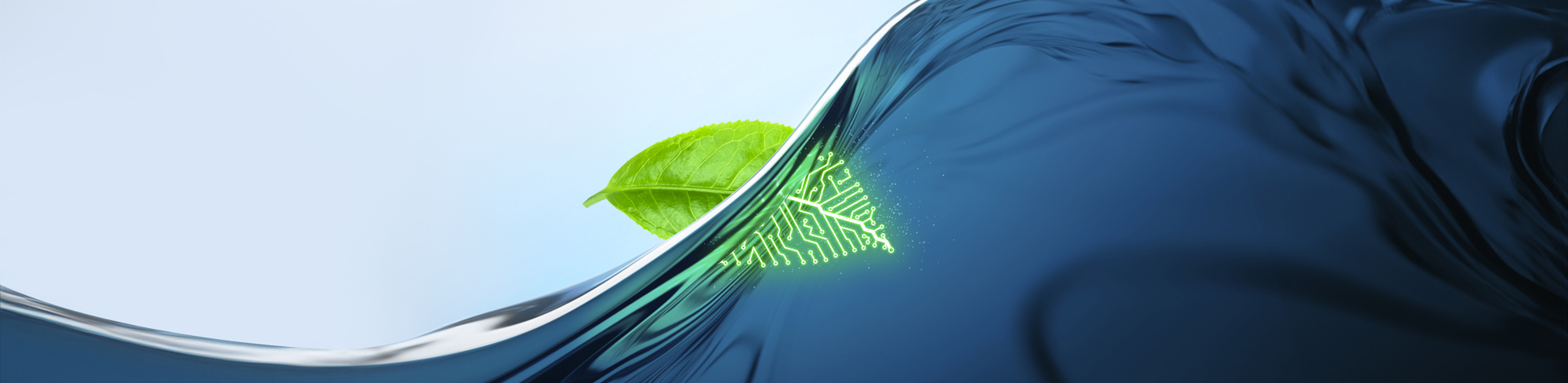 Leaf in water